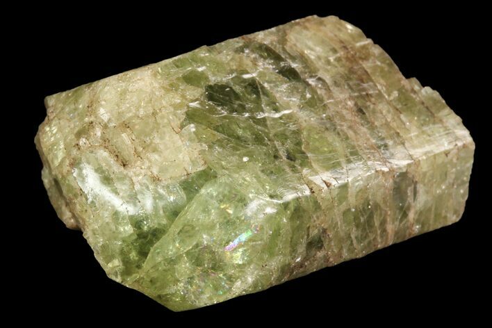 Yellow-Green Fluorapatite Crystal - Ontario, Canada #93708
